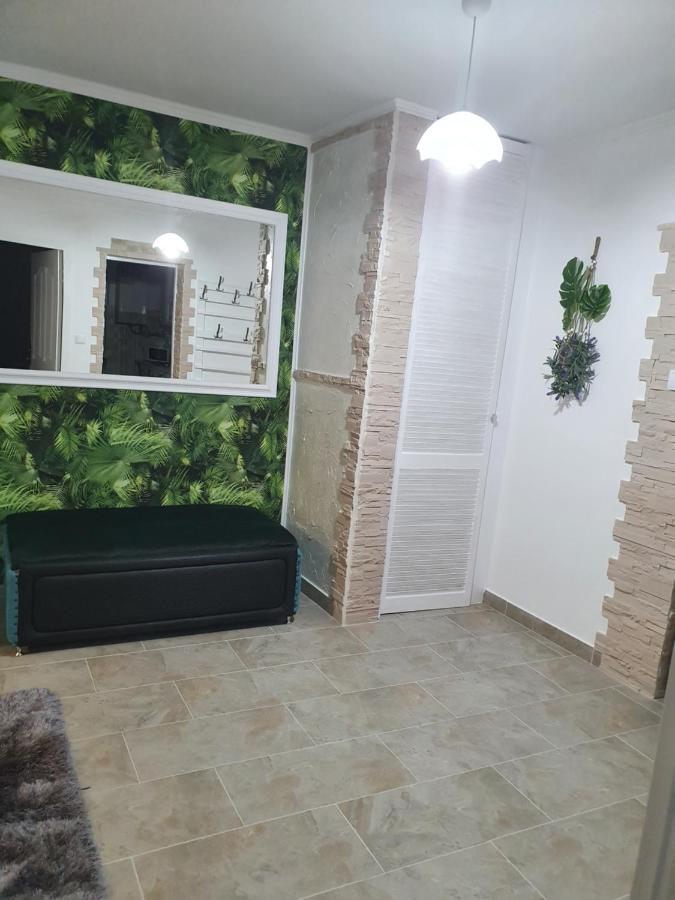 Apartament Tiron In Centru Orasului グラ・フモアルルイ エクステリア 写真