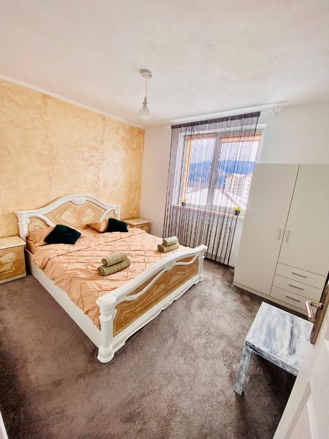 Apartament Tiron In Centru Orasului グラ・フモアルルイ エクステリア 写真